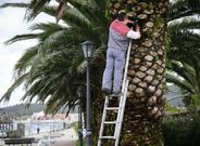 El aviso lleg� hace nueve a�os; los trabajos, hace dos semanas