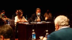 El portavoz municipal del PP, Rafa Domnguez, durante el pleno de  este lunes