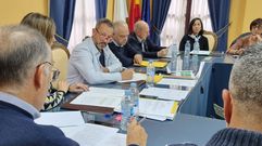 La asamblea estuvo presidida por el alcalde de Vilamartn, Enrique lvarez Barreiro (en el centro de la imagen).