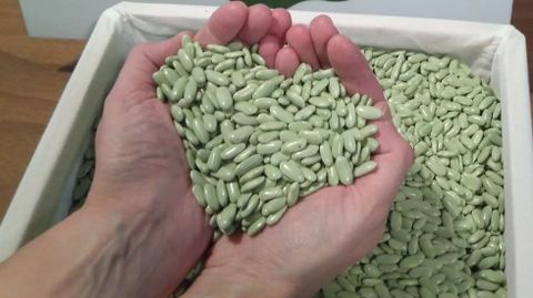 Fabas verdinas. Estar�n presentes en los pinchos de hoy en el mercado carball�s 