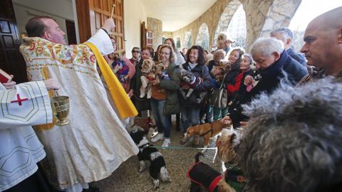 Bendici�n de mascotas en la iglesia de Campolongo