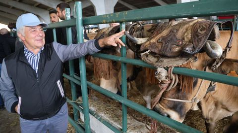 Asistentes  feira de gando de Castro Caldelas observando os exemplares de vacas que se congregaron no recinto do Toural.
