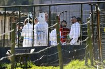 Un amplio despliegue de veterinarios y t�cnicos realiz� la inspecci�n en la protectora. 