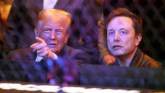 Trump y Musk asistieron el sbado a un combate en el Madison Square Garden.