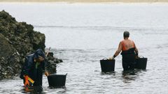 Marisqueo de ostra japonesa en o Barqueiro