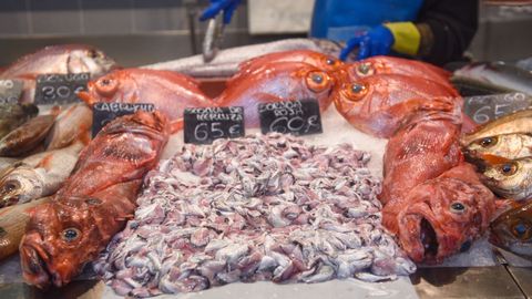Entre los pescados que venden en la plaza de Lugo no falta el besugo