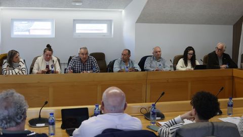 De izquierda a derecha, las concejalas de Vilalba Aberta (Mar�a Xos� Fern�ndez y M�nica Gonz�lez), el del BNG (Tino Alvite) y cuatro del PSOE (Ignacio Criado, Luis Fern�ndez, Paula Vigo y Eduardo Vidal) en el pleno de los presupuestos