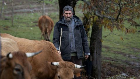 Luis Zahera gan� un Goya por su interpretaci�n en �As bestas�