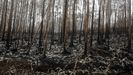 Imagen de archivo de uno de los incendios más grandes registrados en A Mariña.