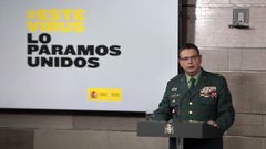 El director adjunto operativo de la Guardia Civil, el teniente general Laurentino Ce�a, en una de sus comparecencias para dar cuenta de las incidencias durante el estado de alarma