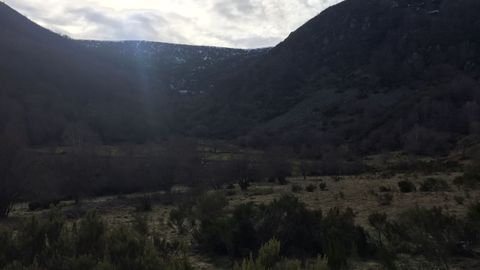 Hayedo de Busmayor. La ruta atraviesa zonas de pastos, con las montaas de Galicia al fondo