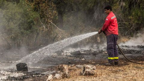 Incendio en Chubut (Argentina). Ha arrasado 17.000 mil hectáreas de bosque nativo y matorrales.