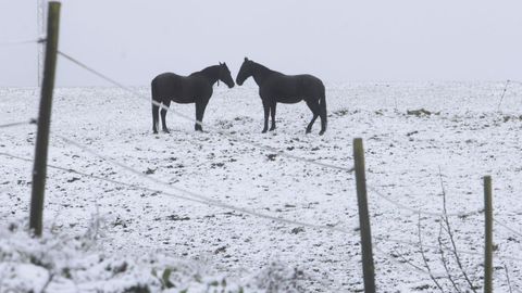 Nevada en Meira este martes