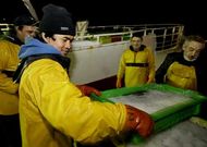 La flota mari�ana que faena en Gran Sol captura principalmente merluza, que descarga aqu�.