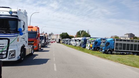 Algunas de las cabezas tractoras se engalanaron para la ocasi�n.