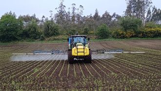Un ganadero sulfata los campos de ma�z para evitar el ataque del gusano soldado