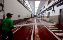 La lonja de Mar�n no ha dejado de perder peso desde la marcha de la flota del Gran Sol y el arrastre. 