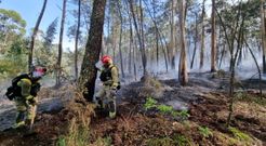 Incandio forestal en O Perrn
