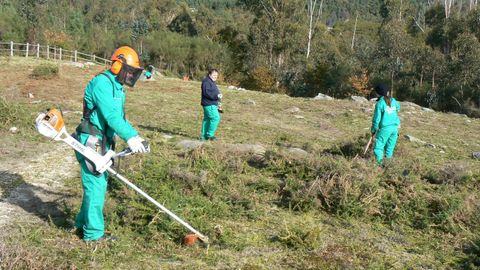 Imagen de archivo de alumnos de la especialidad de trabajo forestal