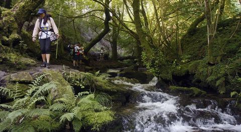 Los peregrinos extranjeros se sorprenden con el verde del valle de O Saln�s y con la riqueza hist�rica de los monumentos. 