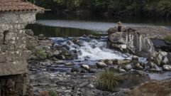 As� bajaba el Tambre en A Ponte Maceira la pasada semana