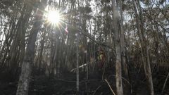 Un bombero trabaja este martes en la extinci�n de un incendio en Soto de Las Regueras