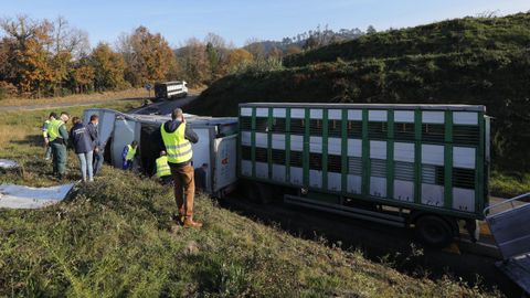 Imagen de un cami�n de transporte de ganado accidentado en Galicia