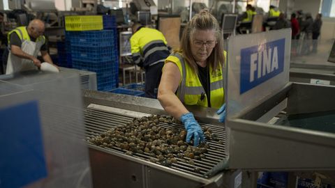 Lonja de Testal, el pasado diciembre