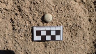 Una de las piezas de piedra reci�n encontradas en el yacimiento romano de Proendos. En opini�n de los investigadores, podr�an ser fichas empleadas en un juego de mesa similar al de las damas