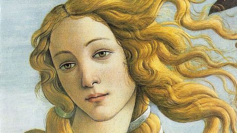 El protagonismo del cabello es extraordinario en la obra «El nacimiento de Venus» (1485), de Sandro Boticelli, para la cual escogió como modelo a la joven Simonetta Cattaneo. El cuadro se conserva en la Galería de los Uffizi de Florencia