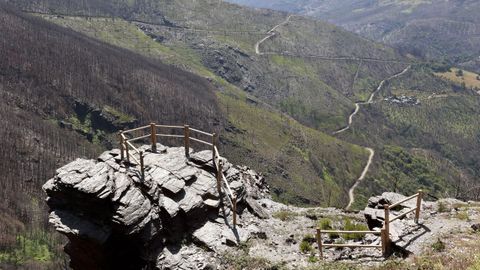 Ladera que baja desde el Alto do Boi, donde se quem un gran pinar, en una imagen de esta semana