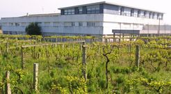 El IES Asorey hace a�os que se queda peque�o para los seiscientos alumnos matriculados. 