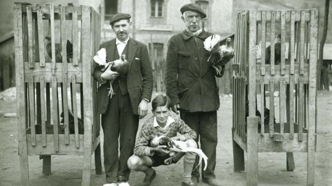 Lorenzo Cabeza. Esteban y Gabino, criadores de gallos de pelea, La Felguera (Langreo), 1930