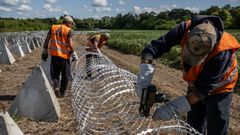 Varios trabajadores ucranianos instalan dientes de dragn, un tipo de fortificaciones antitanque.