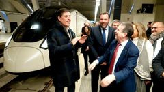 Besteiro, Puente y Caballero en la estaci�n de Vigo el pasado 5 de enero