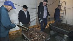 Magosto en la plaza de A Curtidoira de Pontevedra