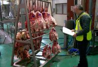 <span lang= es-es >Registro en A Estrada</span>. La visita realizada en un matadero de esta localidad fue decisiva para que los investigadores tirasen del hilo y finalizasen con �xito un trabajo que comenz� hace unos dos meses.