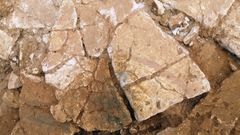 Uno de los fragmentos de la decoraci�n mural de la villa romana de la Estaca (Las Regueras). Se aprecia, en el centro, una espiga que forma parte del enmarcado de una gran pintura