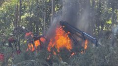 La procesadora incendiada, al pie del eucaliptal