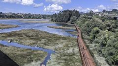 Recreaci�n de las sendas en Mi�o