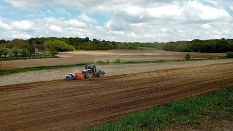 Los ganaderos se afanan en plantar el ma&iacute;z aunque la tierra est&aacute; demasiado seca