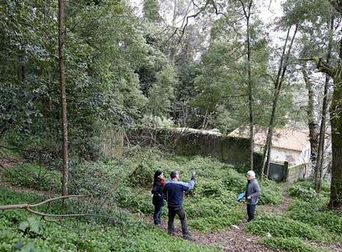 Los afectados viven con la preocupaci�n de que alg�n tronco se les caiga encima.