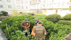 Preparaci�n de la parcela donde se colocar� la escultura del rey Alfonso VII