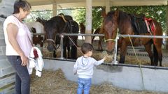 Feira do Cabalo de Adai, en O Corgo