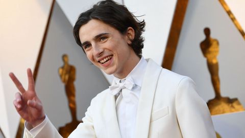 El joven actor Timothee Chalamet, nominado por Call me by your name