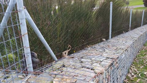 BENS: Este cierre es tambi�n una trampa para los animales, donde pueden quedarse atrapados con las patas