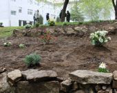 Los terrenos ya est�n preparados para la primera cosecha de fresa.