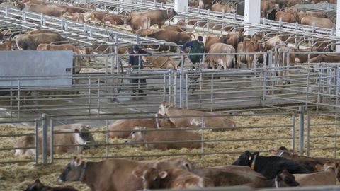 Las intalaciones de la granja ocupan unos 7.500 metros cuadrados