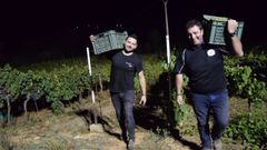 Los bodegueros Rub�n Moure, de Finca Cuarta (a la izquierda) y Pablo Gonz�lez, de Don Cosme (a la derecha) durante la vendimia nocturna realizada el a�o pasado en la parroquia quiroguesa de Margaride