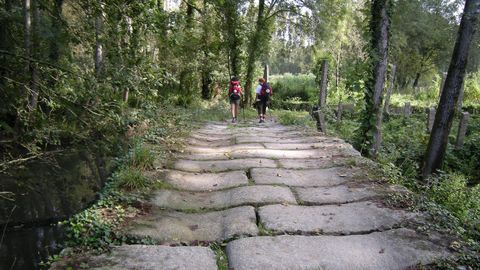 Camino de Santiago